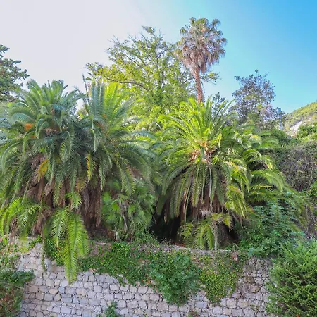 « Hawai » Proche Mer, Calme, Piscine Menton